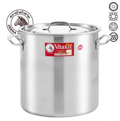ZEBRA VITALUX STOCK POT 38.5LTR (36x36cm)